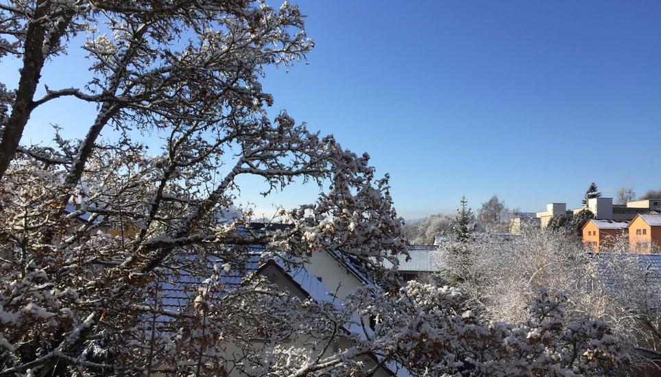 Buchthalen in Richtung Schaffhausen. Bild: Jessica Huber