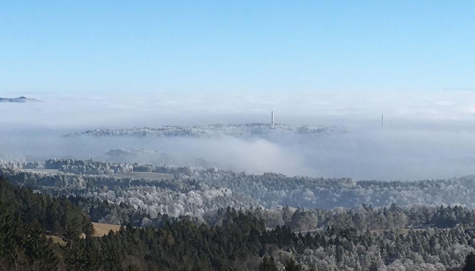 Vom Hagen in Richtung Verenafohren. Bild: Beat Rueedi