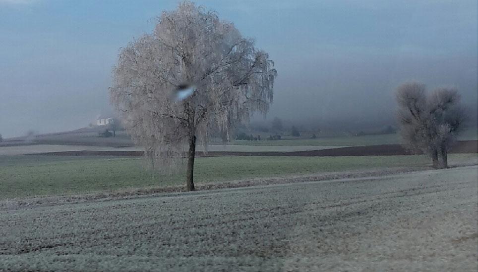 Winterlandschaft Nummer 2: Gächlingen Richtung Hallau. Bild: Monika Albertini