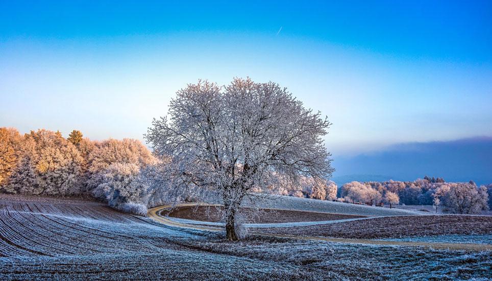 Reiatlandschaft im Rauhreif von Stetten. Bild: Christoph Hauser