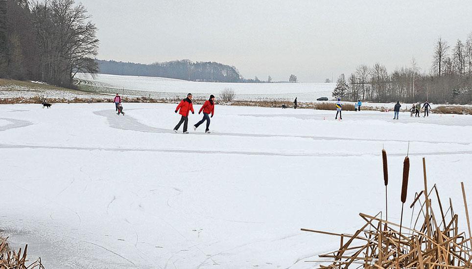 Aus den SN vom 8. Januar 2010: «Schlittschuhlaufen im Naturschutzgebiet: Der idyllische Morgetshofsee in Thayngenlädt zum Verweilen ein.» Bild: Selwyn Hoffmann
