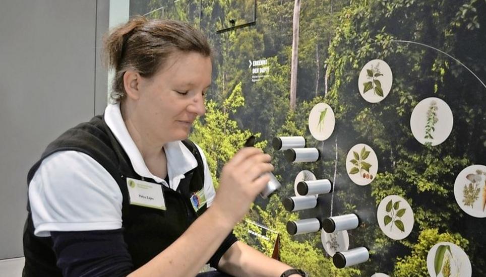 Petra Zajec zeigt an der interaktiven Wand, wie man die Düfte des Regenwaldes entdecken kann. Bild: Thomas Güntert