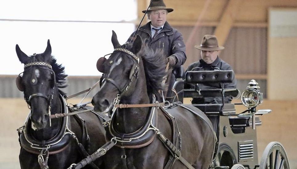Gut in Fahrt: Daniel Schmid, mit Vagabund und Valento eingespannt, feierte am Fahrturnier in Schaffhausen sowohl einen Sieg als auch einen zweiten Platz. Bild: cue
