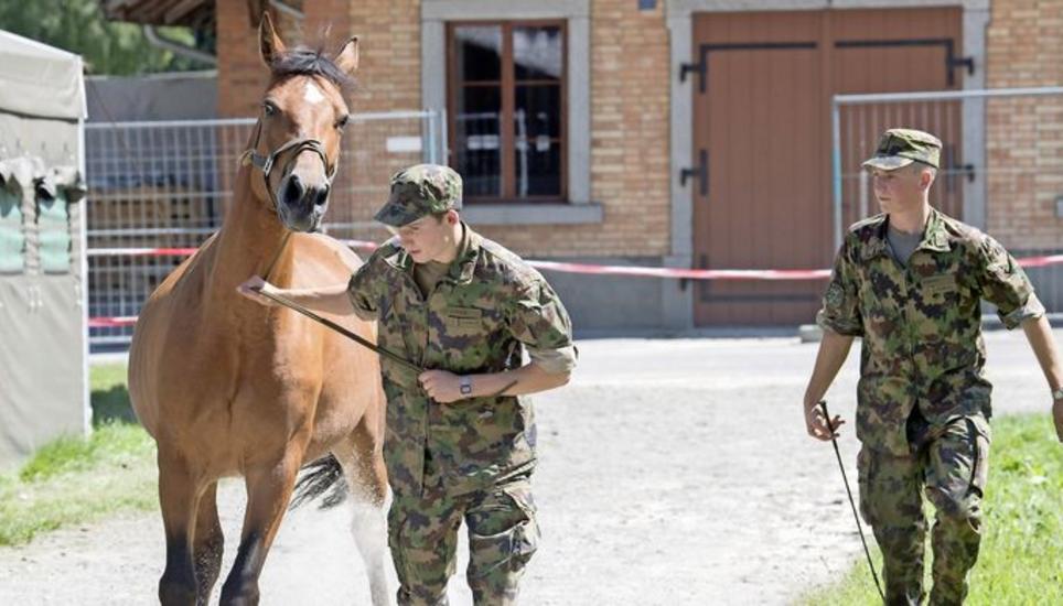 Angehörige der Armee kümmern sich um die Pferde, die aus der geschlossenen Pferdezucht des mutmasslichen Tierquälers von Hefenhofen nach Schönbühl bei Bern überführt wurden. Bild: Key