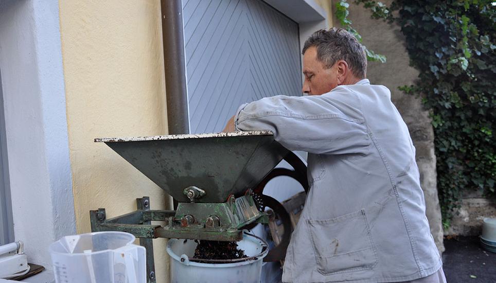 Paul Christen dreht die Trauben der Stichprobe durch eine kleine Traubenmühle, bevor er den Zuckergehalt des Saftes misst. Das Resultat: 93 Öchselgrad, das wird einen ausgewogenen Wein von 12.5 bis 13 Volumenprozent ergeben.