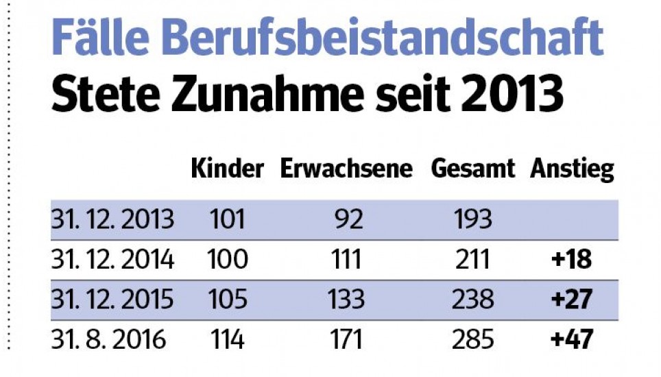 Berufsbeistand