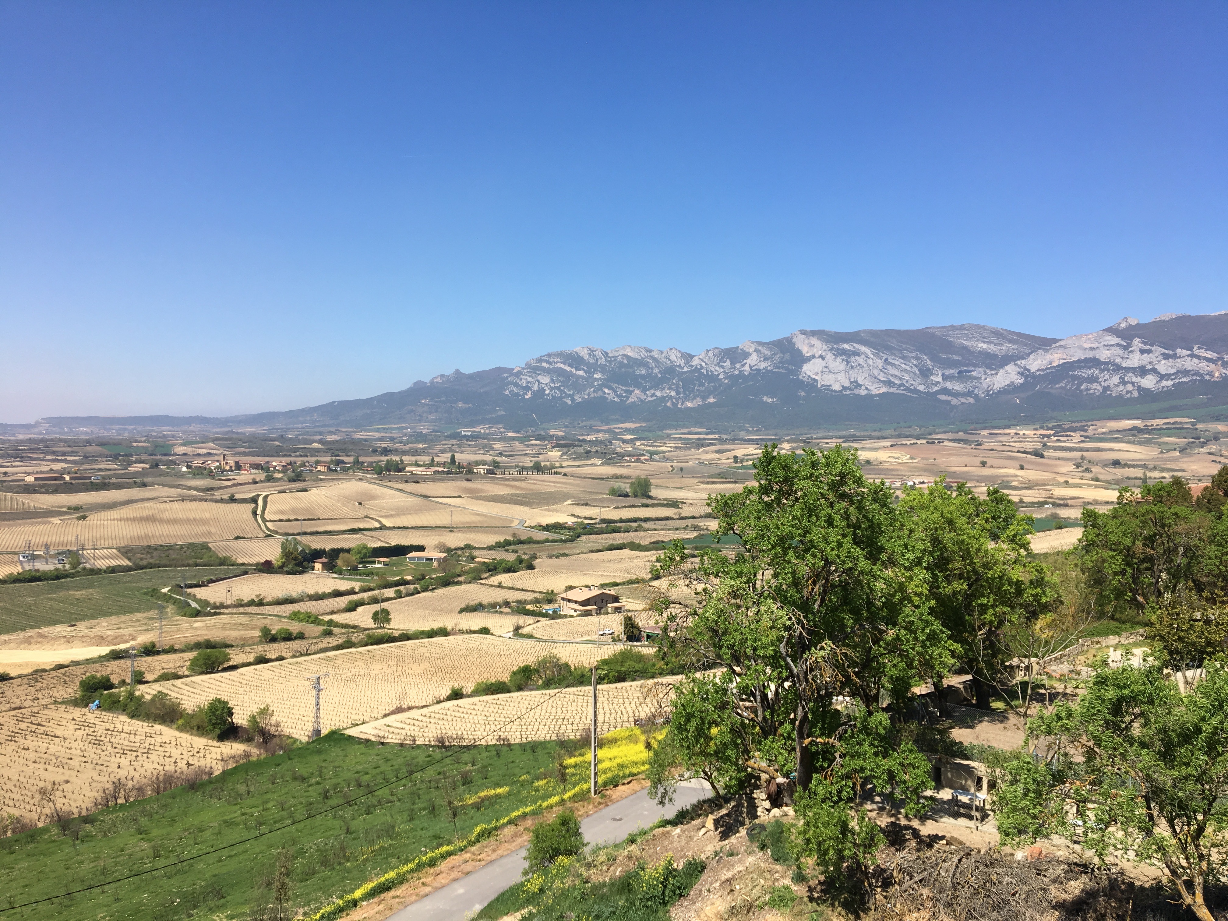 Weingebiet Rioja