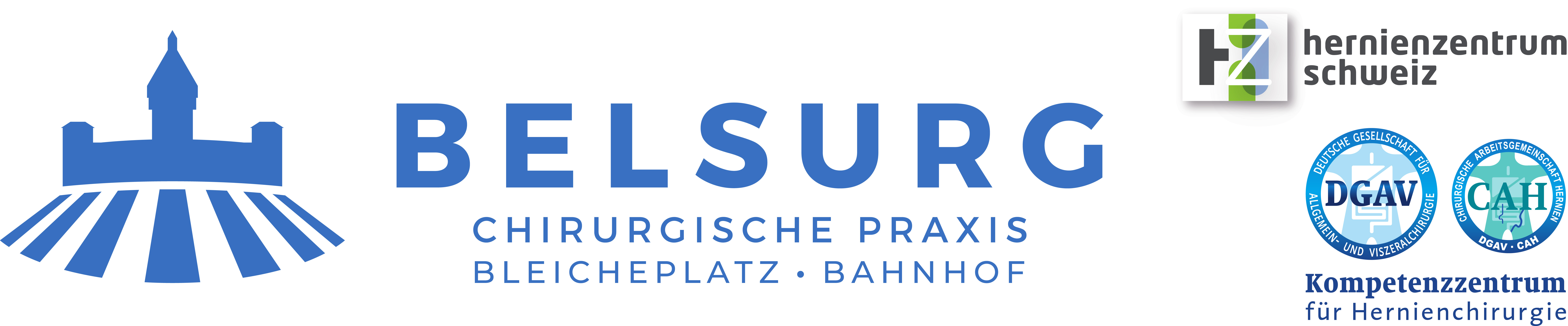 Logo Belsurg