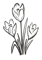 Gartengeschichten