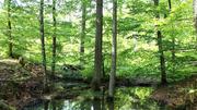 Kommt jetzt ein Naturpark-Bier?