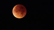 Ein solcher, sogenannter Blutmond ist am 27. Juli über der Schweiz zu sehen. Bild: Pixabay