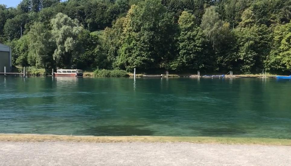 Am und auf dem Rhein kam es zu weniger Unfällen als noch 2017.
