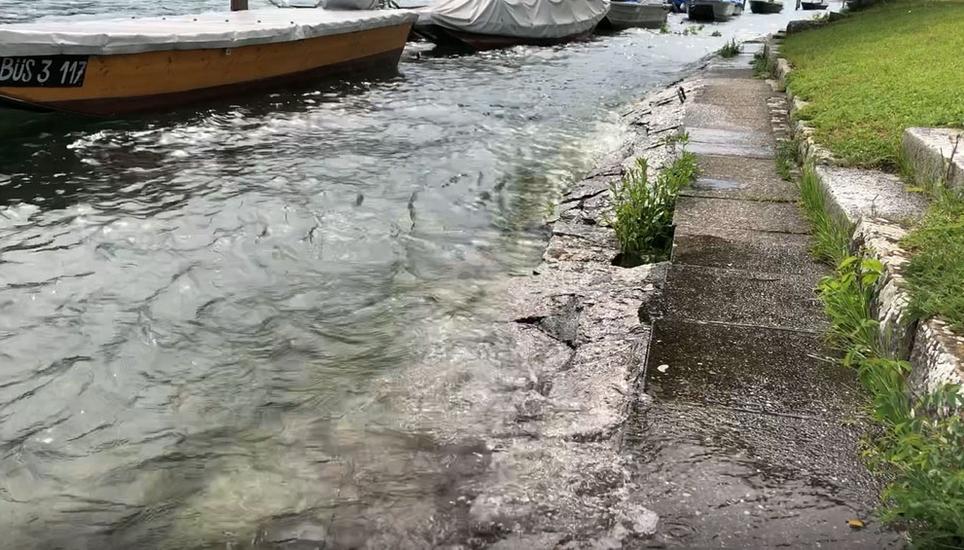 Einem Bad im Rhein steht (fast) nichts im Wege.