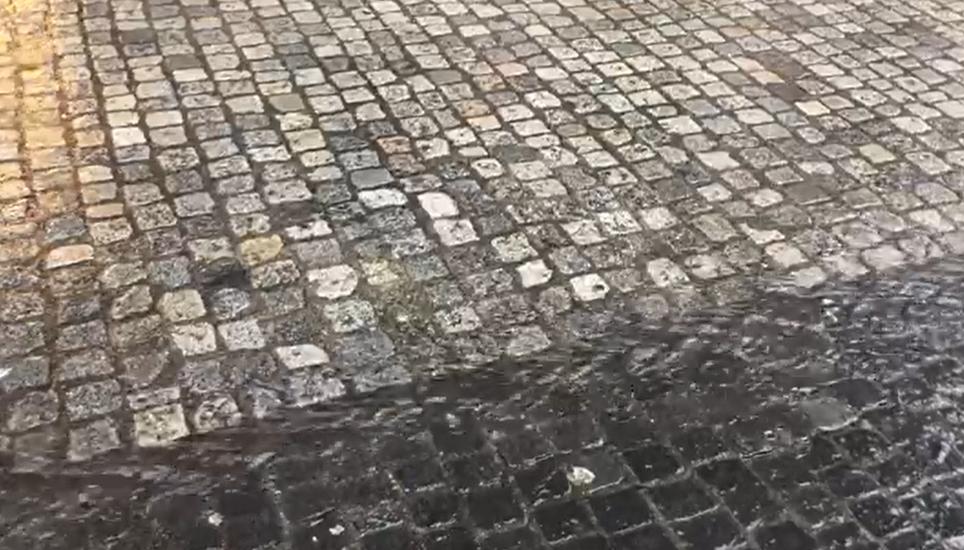 Regenwasser kann nur in den Boden absickern, wenn er nicht verbaut ist.