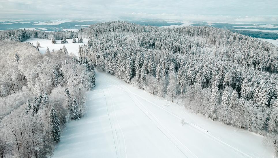 Die tollen Bedingungen auf dem Randen zogen auch diesen Winter zahlreiche Schaffhauserinnen und Schaffhauser an. Viele von ihnen kamen mit dem Randenbus ins Naherholungsgebiet. Bild: Roberta Fele