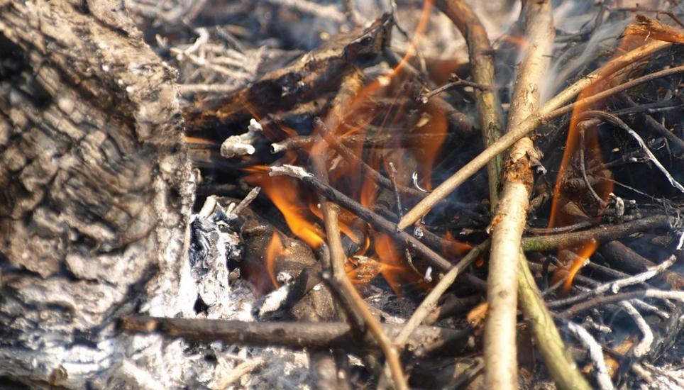 Patrick Portmann beschäftigt sich mit Waldbrandgefahr und Feuerverboten. Gartenabfälle, Feuer