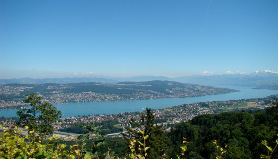 Neben dem Kanton Zürich, haben auch die Kantone Genf, Luzern und Schwyz nicht erfüllt.