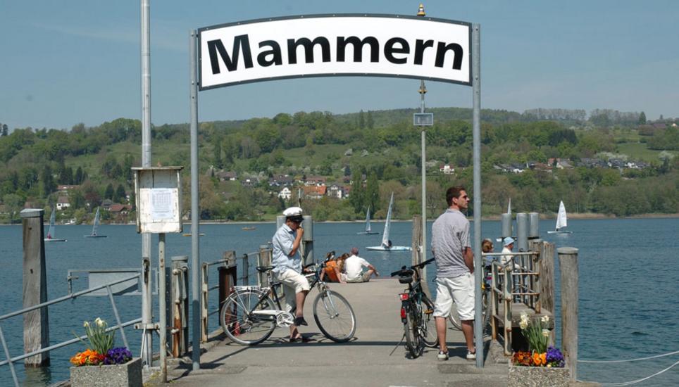 Die Gemeinde Mammern schliesst das Jahr mit einem positiven Ergebnis ab. Bild: Selwyn Hoffmann