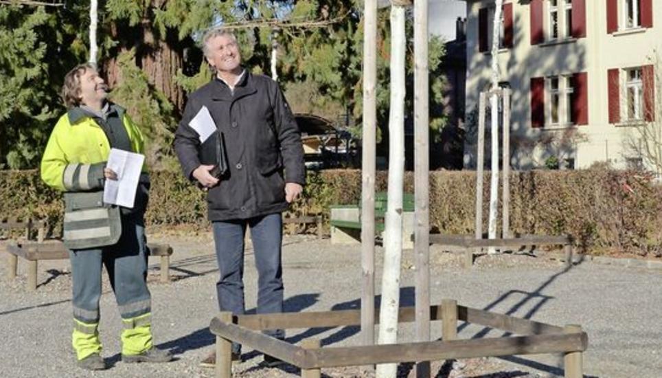 Obergärtner Daniel Böhringer (l.) begutachtet mit dem stellvertretenden Bereichsleiter von Grün Schaffhausen, Konrad Bruderhofer, die neuen Platanen am Lindli. Bild: Tito Valchera