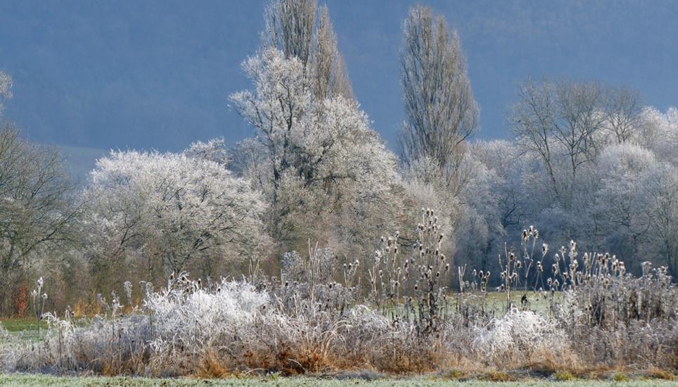 Der Winter kommt - und zwar heftig.