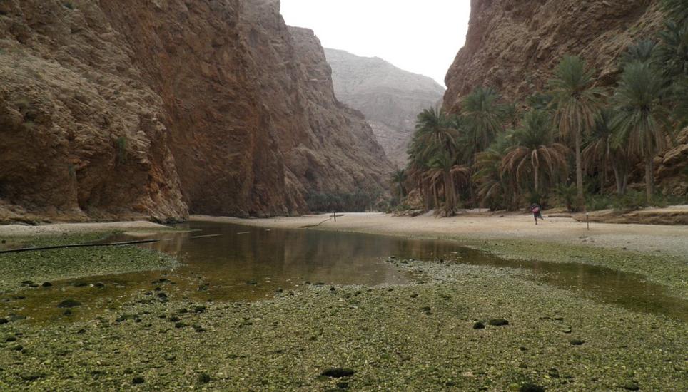 Der Oman ist eine Trenddestination bei den Schaffhausern.