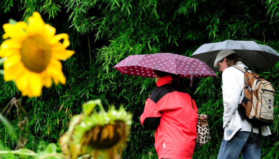 Regen, Frost und Sonnenschein. In den letzten Wochen hatten wir alles dabei. Bild: Key