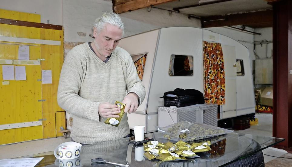 Rolfi Hafner packt in seinem Geschäftslokal in Fisibach (AG) eine frisch eingetroffene Lieferung legaler Blüten für den Weiterverkauf ab. Bild: psc