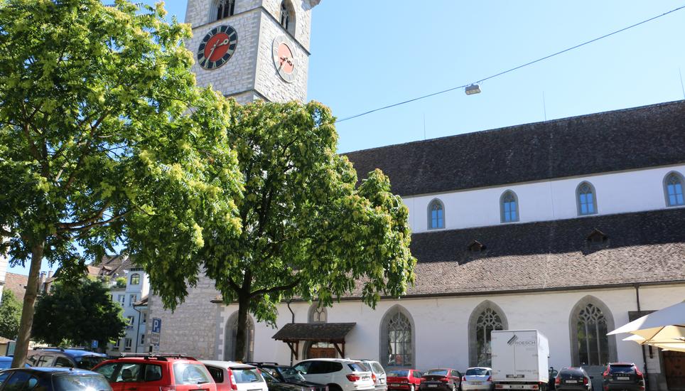 Der Schweizerische Evangelische Kirchenbund SEK wurde 1920 gegründet .