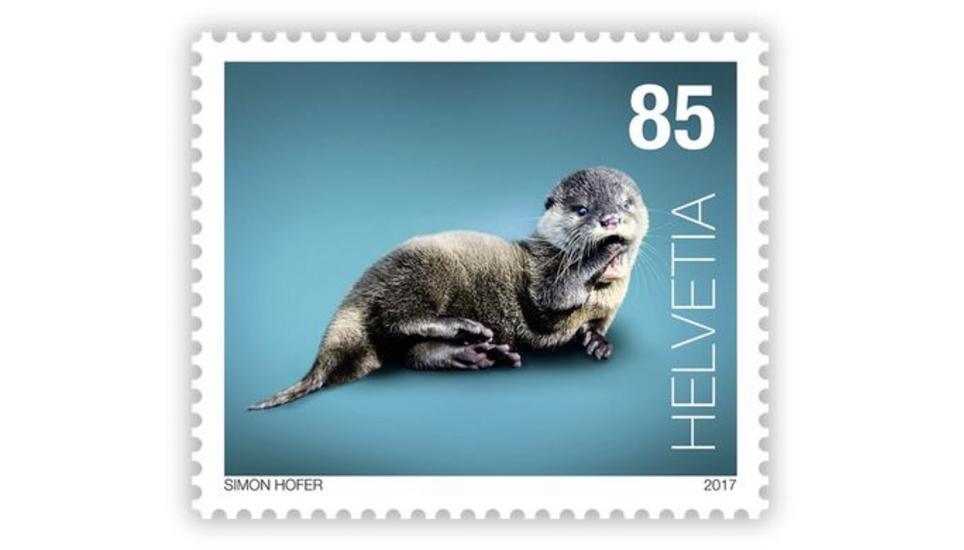 Ein Otterbaby gehört zu den Motiven der interaktiven Briefmarkenserie. Bild: Post