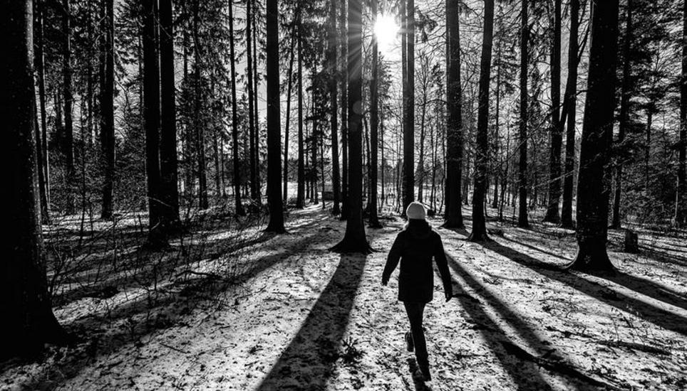 Dieser Spaziergang im Winterwald beim Zelgli holt den zweiten Platz. Bild: Michael Schatzmann aus Schaffhausen