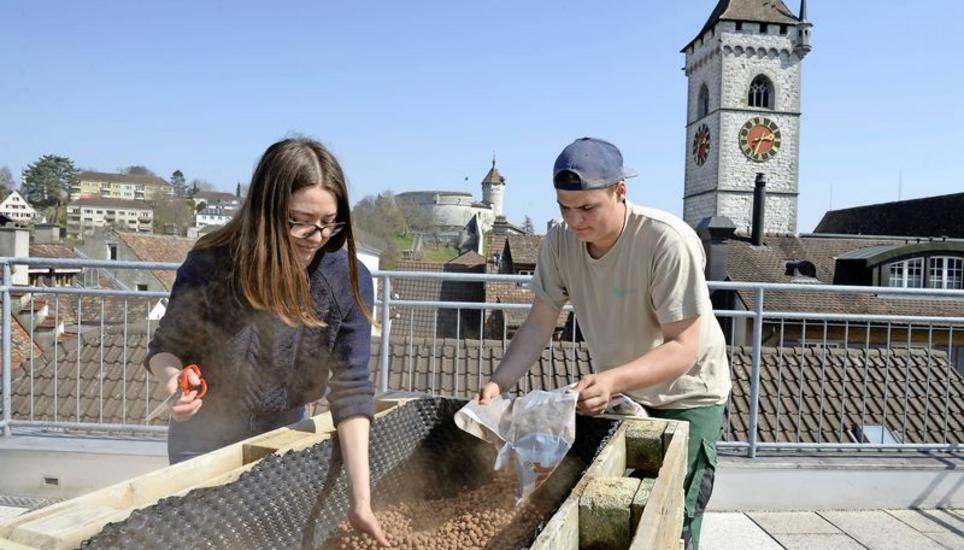 Schuften auf der SN-Terrasse: Praktikantin Melanie Schmid und Lehrling Joël Bohle bestücken das Hochbeet mit Blähtonkügelchen.Bild Selwyn Hoffmann