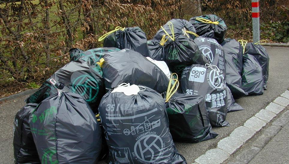 Die Grünen forderten eine separate Abfalltrennung für Kunststoff mit einer Petition.