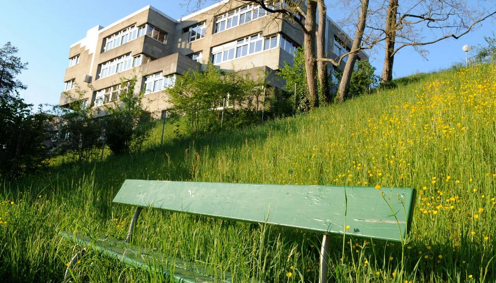 67 Prozent der diesjährigen Prüflinge haben bestanden. Bild: Selwyn Hoffmann