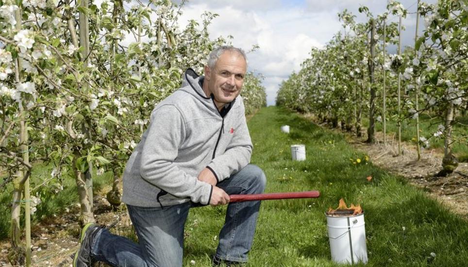 Mit solchen Paraffinkerzen will der Ramser Obstbauer Josef Würms seine Obstbäume vor Frostschäden bewahren. Bild: Selwyn Hoffmann