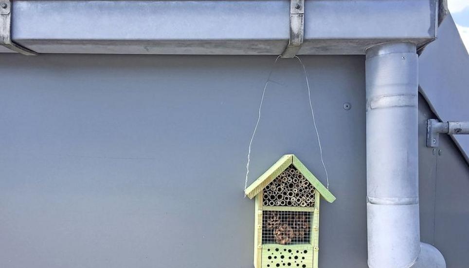 Klein, aber sehr fein: Unser Bienenhotel haben wir unter der Regenrinne angebracht, damit es vor Wind und vor allem Regen geschützt ist. Bild: Zeno Geisseler