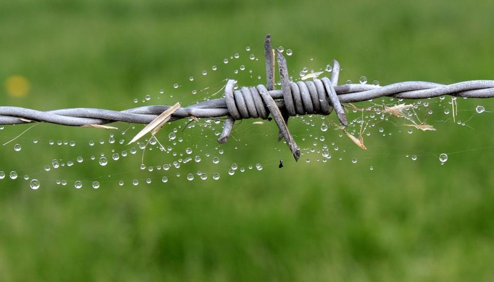 Symbolbild: Pixabay