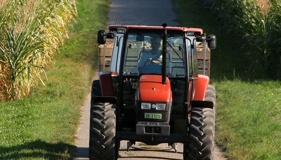 Der Mann reinigte seinen Traktor im Flussbett und zerstörte dabei möglicherweise Laichgründe. Symbolbild: Pixabay
