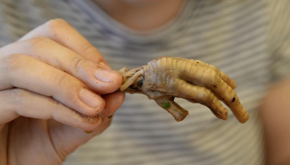 Die Hühnerfüsse werden in einer Nudelsuppe serviert. Einen grossen Eigengeschmack haben sie nicht, das wenige Fleisch und die Haut muss man von den Knochen saugen. Bilder: Selwyn Hoffmann
