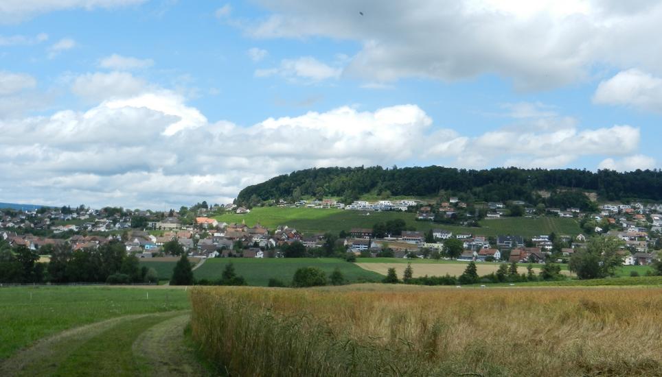 Bild: Radio Munot