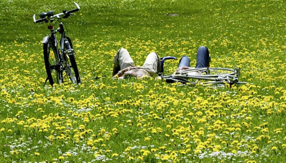 Viele junge Erwachsene zwischen 24 und 27 bekommen in den nächsten Tagen Briefe und sollen über ihr Liebesleben Auskunft geben. Bild: Key