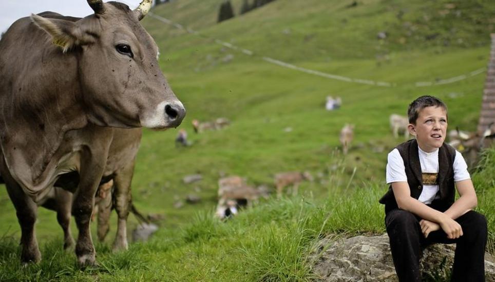 Kinder, die mit Bauernhoftieren aufwachsen, haben einen natürlichen Impfschutz gegen Asthma und Allergien. Bild: Key