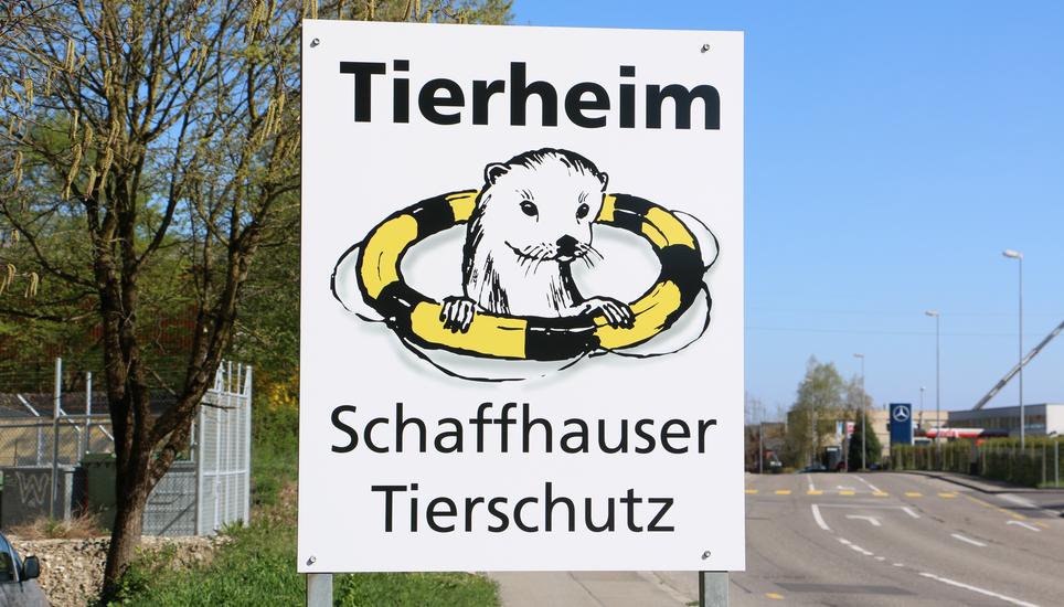 Mehr ausgegeben als eingenommen: Die Tierschutz schreibt Verlust.