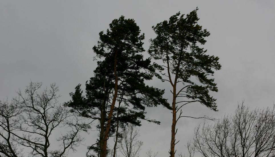 Heute Abend sind Sturmböen und Hagel möglich. Bild: SHN-Archiv