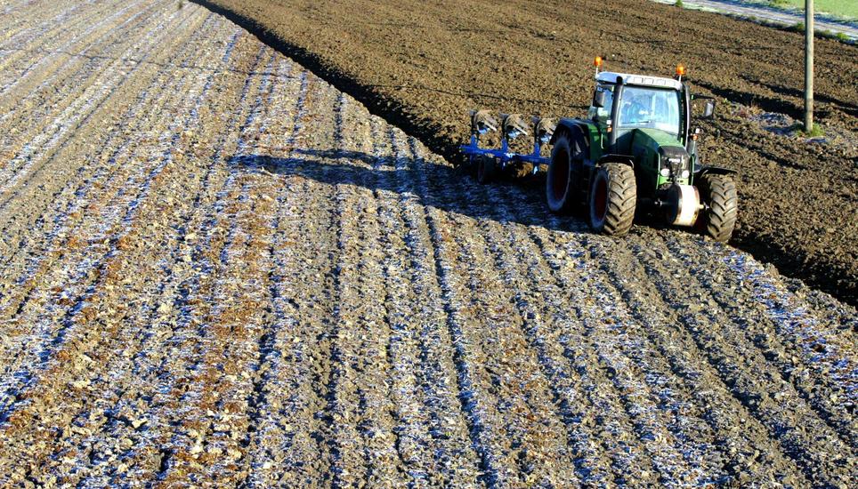 Chlorothalonil kommt hauptsächlich in der Landwirtschaft zur Anwendung. Bild: Key
