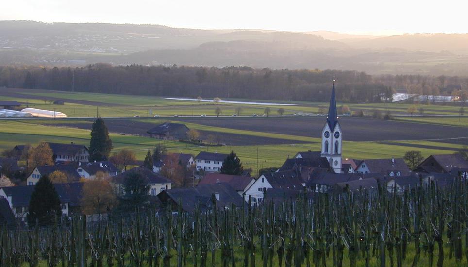Mit grosser Wahrscheinlichkeit ist der gesuchte Franzose schon wieder aus Jestetten verschwunden.