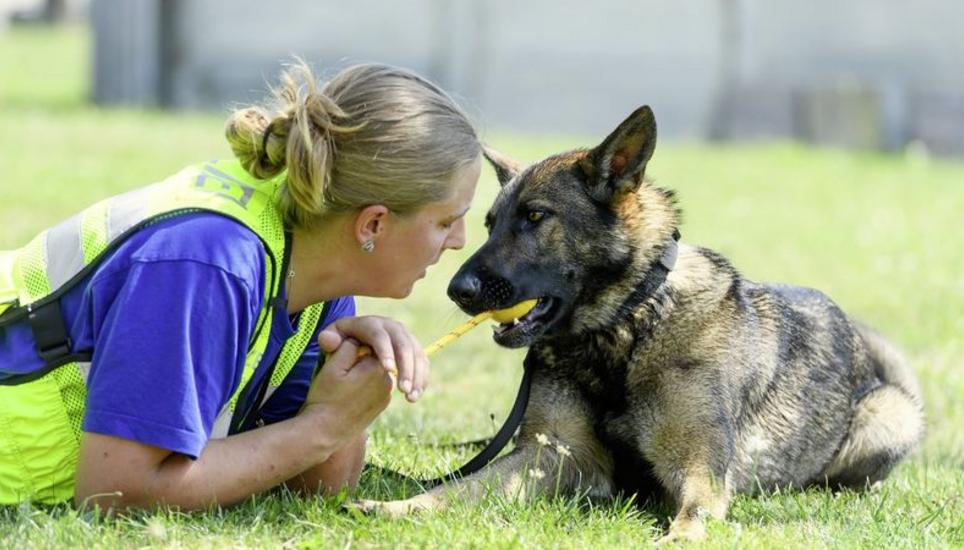 Ein inniges Verhältnis pflegen die Polizisten mit ihren Vierbeinern – wobei sie stets darauf bedacht sind, dass sie ihren Hund nicht zu sehr verhätscheln.