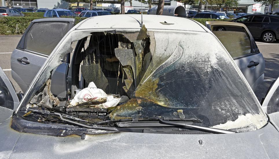 Der Hund hatte Glück - das Auto erlitt Totalschaden. Bild: shpol