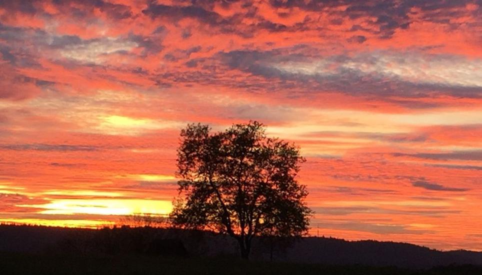 Ein prachtvolles Foto mit speziellem Licht am Dienstagabend 18.30 Uhr in Diessenhofen. Bild: Marianne Räss