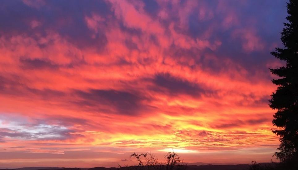 Der Himmel über Benken ZH am vergangenen Samstag. Bild: Iris Bührer