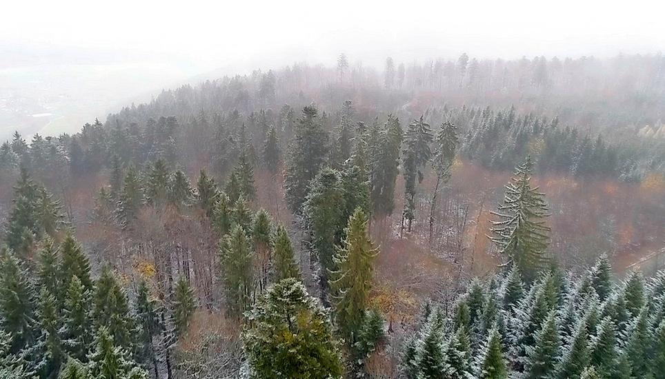 Schnee liegt auf dem Randen keiner mehr - weiss wird es dort am Wochenende nur wegen des Nebels sein. Bild: daz